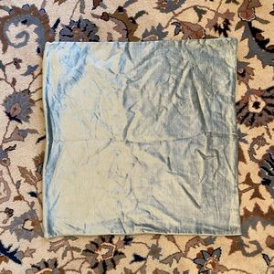 Pair of 20x20 west elm velvet throw pillow cases